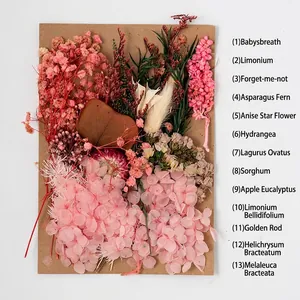 Preserved dried flower DIY kit with 13 varieties including pink and white flowers