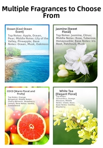 Detail guide of four fragrance scents including Ocean, Jasmine, COCO, and White Tea notes