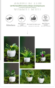 Miniature dollhouse plants in white pots with detailed leaves on green moss landscape