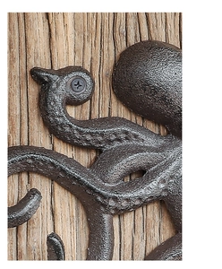 Makro-Detail von Vintage Oktopus-Wandhaken aus Gusseisen mit rustikaler Metalltextur