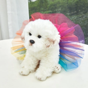 Detailed close-up of a rainbow layered tulle pet tutu skirt on a white dog model