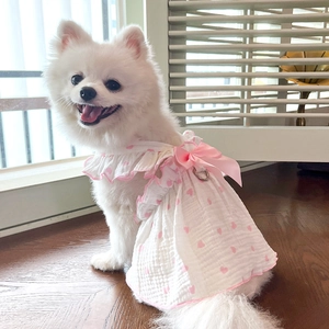Close-up of white pet dress with pink hearts and metal D-ring on Pomeranian dog