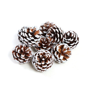 Macro shot of assorted mini natural pine cones with artificial white snow decorative accents