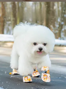 Detail of waterproof dog boots with non-slip soles and adjustable drawstring for small pets