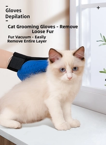 Blue pet grooming glove massaging a white cat to remove loose fur on a sunlit window