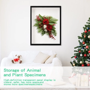 Black shadow box frame showcasing dried flowers and pine cones for Christmas decor