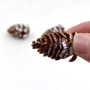 Miniature brown artificial pine cone with white snow effect held in hand against white background