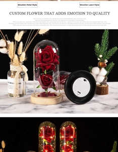 Detail of two red preserved roses in a glass dome with LED string lights and wood base