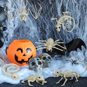 Halloween decorative skeleton set with animal bones and pumpkin on white spider web background