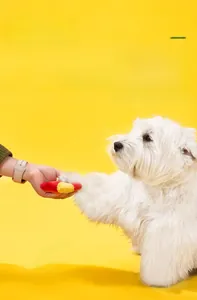 Interactive squeaky plush dog toy in red and yellow for pet training and bonding fun