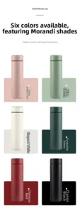 Smart 304 stainless steel thermos flask with digital temperature display in six matte colors