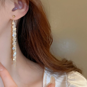 Close-up of long tassel earrings with shimmering metal sequins worn by a model