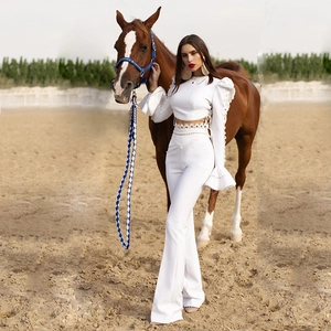 Haut Court À Manches Évasées Dentelle Évidée Et Pantalon Évasé Taille Haute Bandage Slim Fit Élégant Sexy Femmes