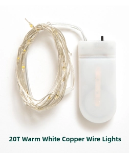 Detailed view of 20 LED warm white copper wire string lights with battery control box