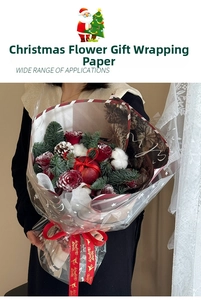 Close-up of Christmas wrapping paper with red green plaid edges and starry transparent film