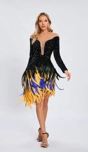 Detail of V-neck sequined bodice and colorful feather skirt on elegant cocktail dress