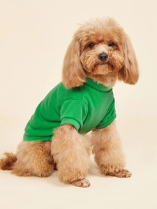 Soft green knitted dog t-shirt shown on a small pet against a warm beige background