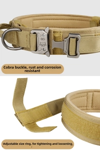 Detail of tactical dog collar featuring a metal quick-release buckle and nylon strap