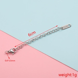 Detail of 6cm stainless steel extender chain with lobster clasp and S.Steel engraving