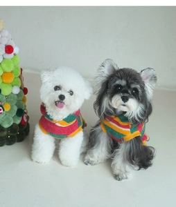 Detail view of colorful striped knitted dog sweater on Bichon Frise and Schnauzer models