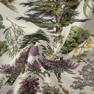 Close-up of vintage botanical plant illustration on beige fabric with soft draped texture