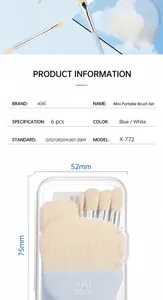 Detailed view of the 6-piece mini portable makeup brush set with sizes and clear storage case