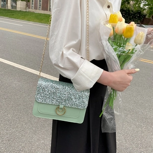 Mint green sequined crossbody chain bag with golden double ring buckle for women