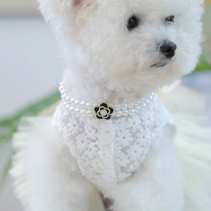 Elegant white daisy lace pet dress with double-layered camellia pearl necklace for small dogs