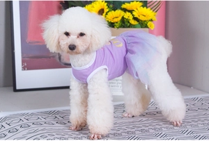 Detail of purple gradient mesh dog dress with three-layer tulle and cotton vest
