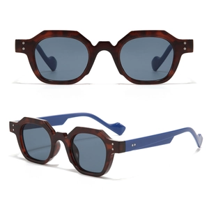 Retro polygon sunglasses with tortoiseshell frame, blue temples, and rivet details
