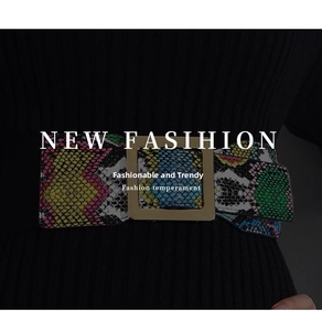Macro detail of elastic wide belt with colorful snake pattern and gold square buckle