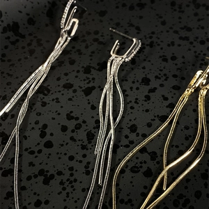 Macro view showing detailed zircon studs and sleek metallic tassels of elegant earrings