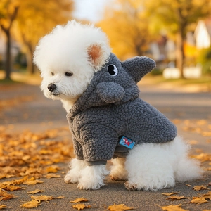 Sweat à capuche requin en polaire grise pour petit chien porté sur un tapis de feuilles