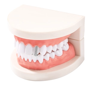Zilveren enkele tand grillz met strassteentjes op tandmodel voor hiphop sieradenstijl
