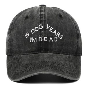 Detail of white 'IN DOG YEARS I'M DEAD' embroidery on a washed grey cotton baseball cap