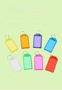 Neuf étiquettes de clés colorées en plastique avec inserts inscriptibles et anneaux métal