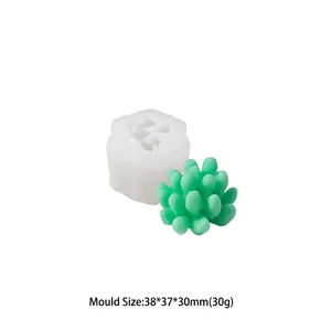 Macro-opname van de succulent siliconen mal met afmetingen van 38x37x30mm