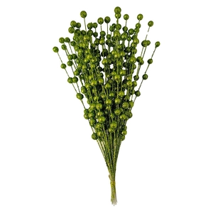 Glittery green berry stems for Christmas floral arrangements and home decor accents