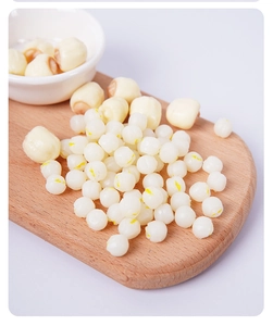 Close-up of realistic miniature PVC lotus seeds and Gordon Euryale for DIY dollhouse crafts