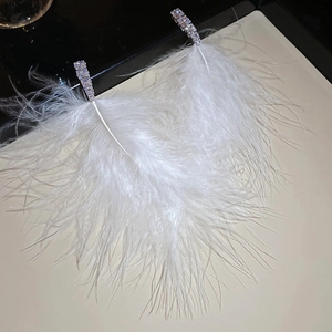Detail view of silver feather tassel earrings with sparkling white cubic zirconia stones