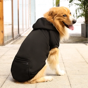 Outdoor shot of a golden retriever wearing a black fleece hoodie with a zipper pocket detail