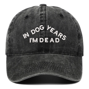 Casquette en coton gris délavé avec broderie 'IN DOG YEARS I'M DEAD' sur le devant