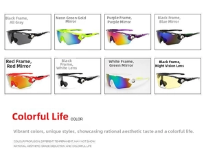 Detailed grid of outdoor sports sunglasses with various colored frames and mirror lenses