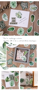 Close-up of green leaf stickers with monstera patterns and nature motifs for scrapbooking