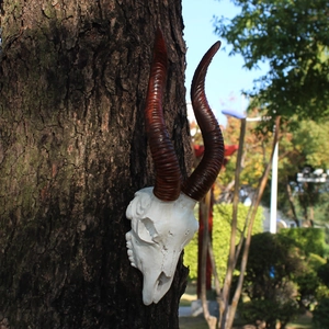 Faux resin sheep skull wall hanging with spiral horns and realistic aged texture decoration