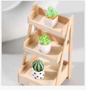Three-tier wooden miniature shelf featuring potted succulents and cacti in white pots