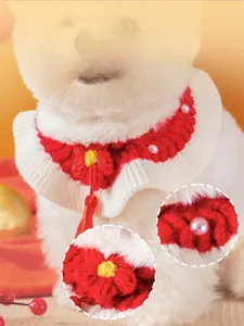Détail du collier tricoté rouge et blanc pour animaux avec fleurs et franges sur chien