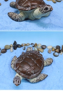 Detailed views of a realistic sea turtle figurine with textured shell on blue sand