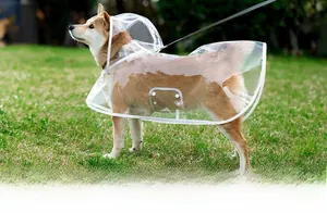 Close-up of waterproof transparent dog raincoat with white edges and leash hole detail