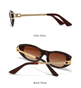 Side and back view of tortoise shell sunglasses with gold metal horseshoe hinges